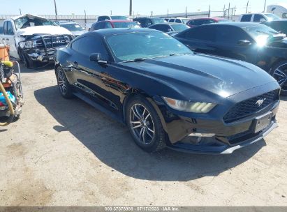 1FA6P8TH7G5310414 2016 FORD MUSTANG, photo no. 1