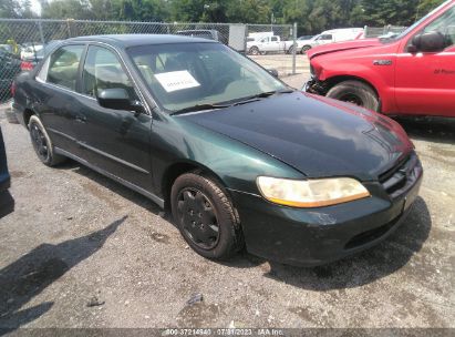 99 honda accord green