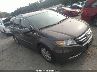 HONDA-ODYSSEY-5FNRL5H6XGB064532