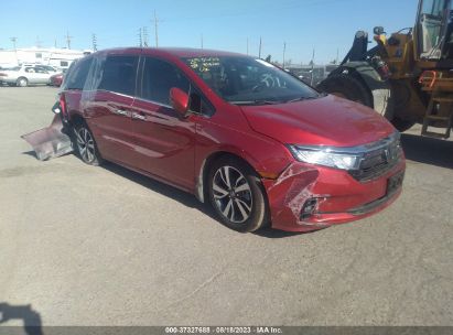 HONDA-ODYSSEY-5FNRL6H81PB062756