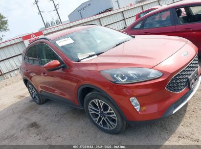 FORD-ESCAPE-1FMCU9H64LUA77378