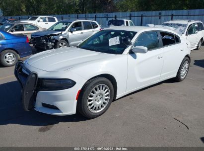 2019 DODGE CHARGER POLICE AWD for Auction - IAA