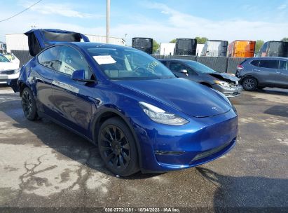 2023 TESLA MODEL Y AWD/LONG RANGE DUAL MOTOR ALL-WHEEL DRIVE for Auction -  IAA