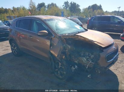 Salvage Cars for Sale in ONTARIO AUCTION: Wrecked & Rerepairable