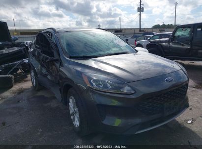 FORD-ESCAPE-1FMCU0F66LUB97374