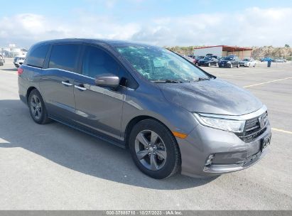 HONDA-ODYSSEY-5FNRL6HF2ND012225