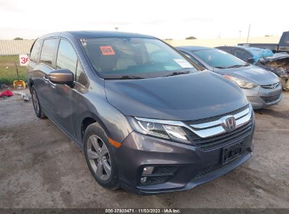 HONDA-ODYSSEY-5FNRL6H72KB137710