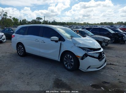 5FNRL6H71NB032256 2022 HONDA ODYSSEY