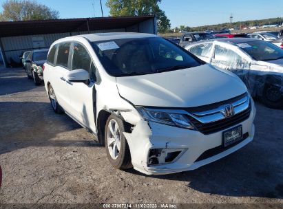 HONDA-ODYSSEY-5FNRL6H73KB007788