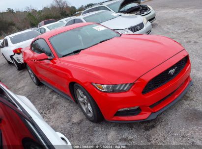 1FA6P8AM4F5321336 2015 FORD MUSTANG