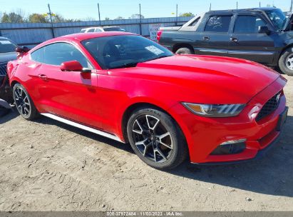 1FA6P8TH0H5331428 2017 FORD MUSTANG - Image 1