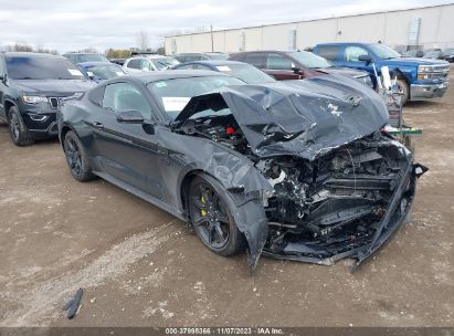 1FA6P8CF1K5201440 2019 FORD MUSTANG, photo no. 1