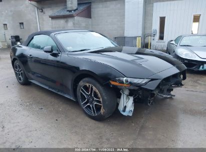 1FATP8UH1K5162707 2019 FORD MUSTANG, photo no. 1