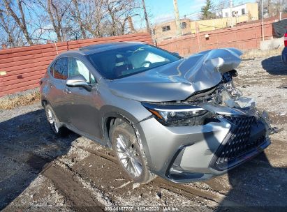 2023 Lexus NX