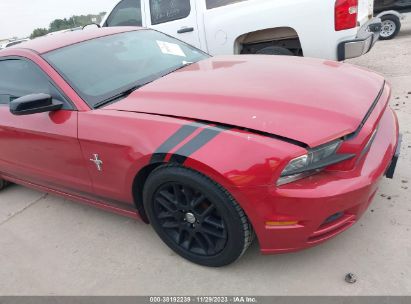 FORD-MUSTANG-1ZVBP8AM9D5256874