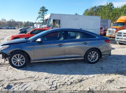 Used 5NPE24AF3KH809654 Hyundai Sonata se 2019 2.4 from Salvage Auction USA