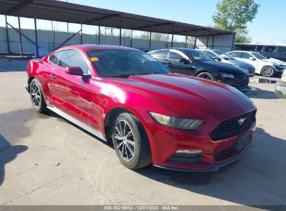 1FA6P8AM5F5337402 2015 FORD MUSTANG, photo no. 1