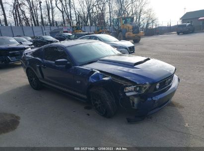 1ZVBP8CH7A5181426 2010 FORD MUSTANG, photo no. 1