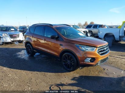 1FMCU0GD3HUC38029 2017 FORD ESCAPE, photo no. 1