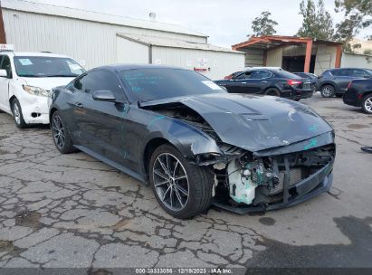 1FA6P8TH1K5175519 2019 FORD MUSTANG - Image 1