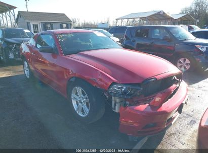 FORD-MUSTANG-1ZVBP8AM9D5278230