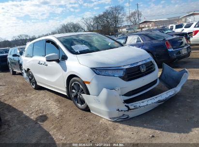 5FNRL6H97PB012713 2023 HONDA ODYSSEY - Image 1