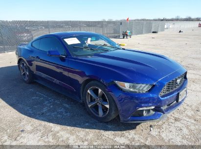 1FA6P8AM0G5206279 2016 FORD MUSTANG, photo no. 1