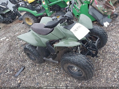 JH2TE1835LK100842 HONDA TRX90 Photo 1