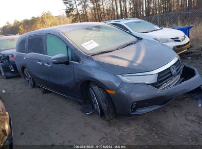 HONDA-ODYSSEY-5FNRL6H81NB043833