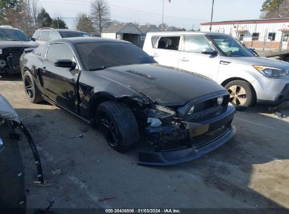 FORD-MUSTANG-1ZVBP8CF3E5296254