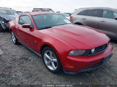 1ZVBP8CH9A5117050 2010 FORD MUSTANG, photo no. 1