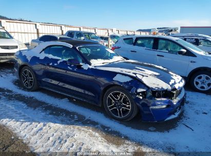 FORD-MUSTANG-1FATP8UH6L5120731