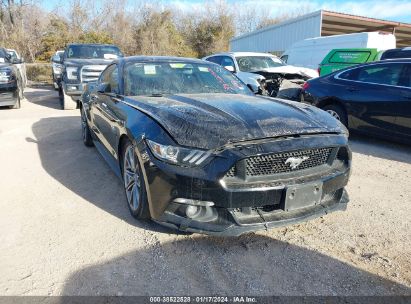 1FA6P8CF2F5344628 2015 FORD MUSTANG - Image 1