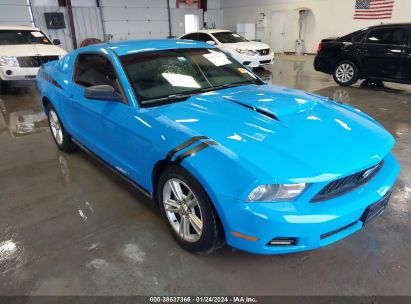 1ZVBP8AN4A5142818 2010 FORD MUSTANG, photo no. 1