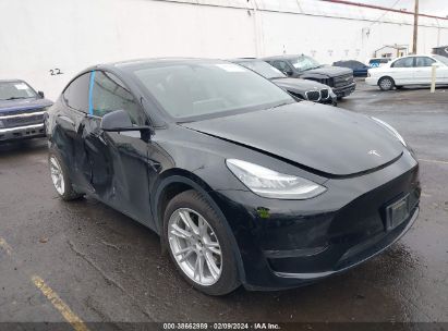 2020 TESLA MODEL Y VIN: 5YJYGDEE4LF017559