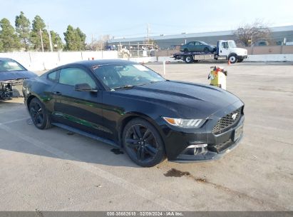 1FA6P8TH5F5391315 2015 FORD MUSTANG, photo no. 1