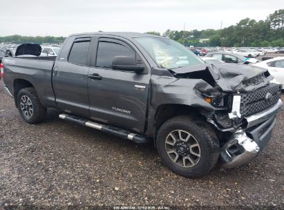 ○【訳アリ】 Tundra 他言語 1枚 ○【訳アリ】 Tundra 他言語 1枚