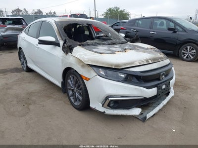 19XFC1F31KE215034 Honda Civic 2019