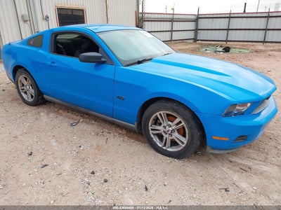 2010 FORD MUSTANG VIN: 1ZVBP8AN4A5120429