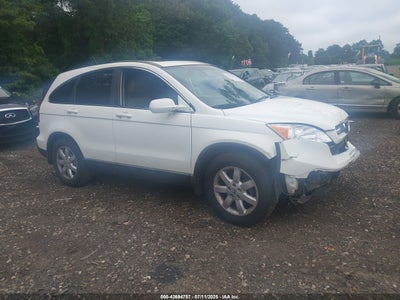 2009 HONDA CR-V VIN: 5J6RE48759L070486