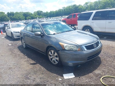 2010 HONDA ACCORD VIN: 1HGCP2F86AA197979
