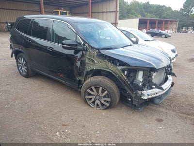 5FNYF6H50MB006568 Honda Pilot 2021