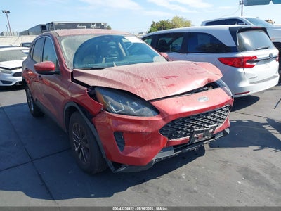 1FMCU0G64LUB06570 Ford Escape 2020