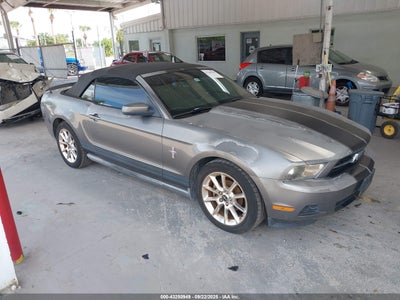FORD MUSTANG CONVERTIBLE 2010. Lot# 43250949. VIN 1ZVBP8EN0A5123970. Photo 1
