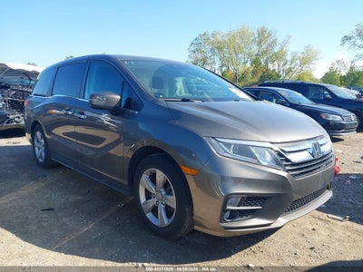 5FNRL6H71KB101877 Honda Odyssey 2019