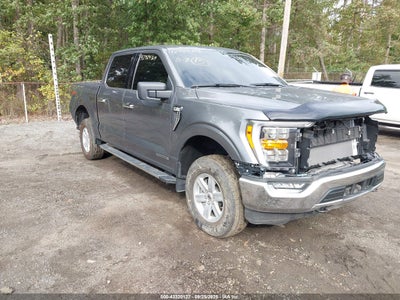 1FTFW1ED7PFD03875 Ford F-150 2023