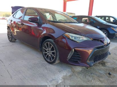 5YFD1HEXHP615545 TOYOTA COROLLA Photo 1