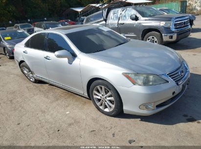 Transporto priemonės nuotrauka