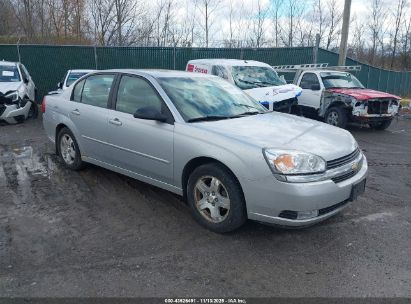 1G1ZU54865F182437 CHEVROLET MALIBU Photo 1