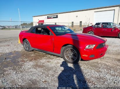 Transportlīdzekļa foto